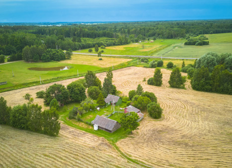 Parduodamas namas su 1,9422 ha žeme Raželiuose, Rokų sen., Kauno r. Parduodamas namas su 1,9422 ha žeme Raželiuose, Rokų sen., Kauno r.