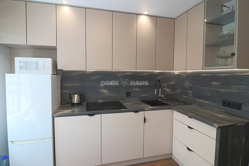 Nuomojamas butas F. Vaitkaus g., Centras, Panevėžio m., Panevėžio m. sav., 36 m2 ploto, 1 kambariai 7