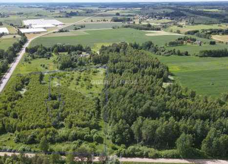 Parduodamas žemės ūkio paskirties sklypas Vikonių k., Anykščių r. sav., 366.45 a ploto Parduodamas žemės ūkio paskirties sklypas Vikonių k., Anykščių r. sav., 366.45 a ploto