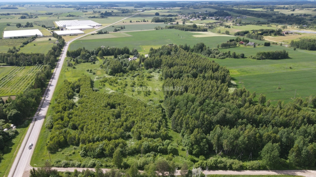 Parduodamas žemės ūkio paskirties sklypas Vikonių k., Anykščių r. sav., 366.45 a ploto 6