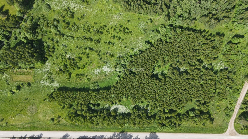 Parduodamas žemės ūkio paskirties sklypas Vikonių k., Anykščių r. sav., 366.45 a ploto 9
