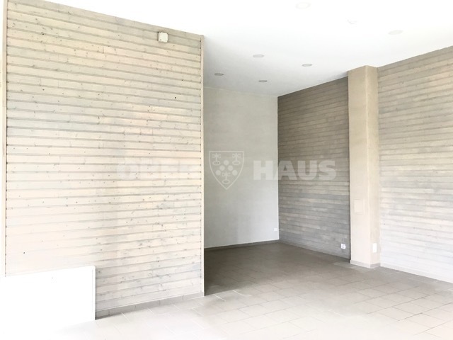 Nuomojamos administracinės, gamybinės, kitos paskirties, sandėliavimo patalpos V. Kudirkos g., Druskininkų m., Druskininkų sav., 59.2 m2 ploto 12