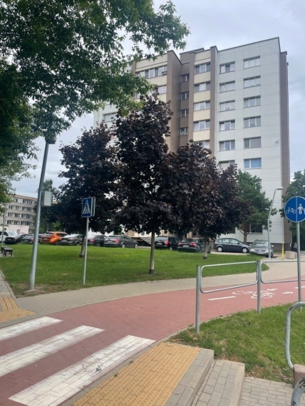 Parduodamas butas Kosmonautų g., Jonavos m., Jonavos r. sav., 28.93 m2 ploto, 1 kambariai 17