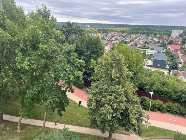 Parduodamas butas Kosmonautų g., Jonavos m., Jonavos r. sav., 28.93 m2 ploto, 1 kambariai 21