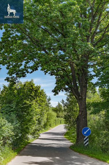 Parduodamas namas Arimų Sodų 7-oji g., Naujoji Vilnia, Vilniaus m., Vilniaus m. sav., 101 m2 ploto, 2 aukštai 29
