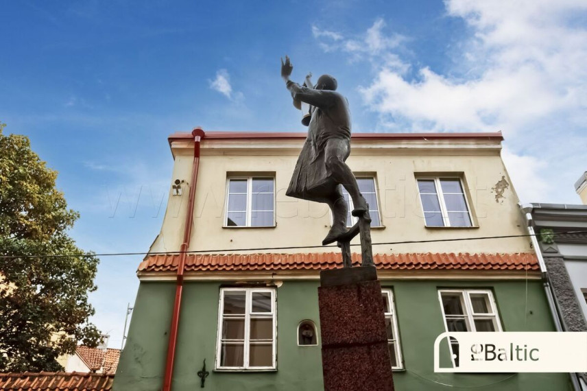 Nuomojamas butas Šv. Jono g., Vilniaus m., Vilniaus m. sav., 80 m2 ploto, 3 kambariai 21