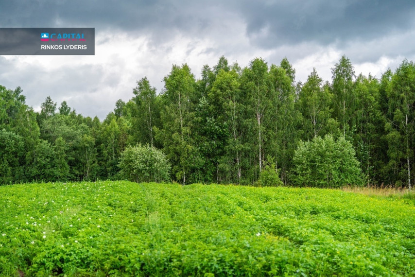 Parduodamas  sklypas Vilniaus r. sav., Sužionių k., Regeniškių vs., 111 a ploto 16