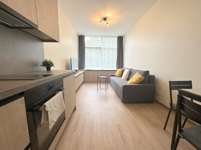Nuomojamas butas Kalvarijų g., Žirmūnai, Vilniaus m., Vilniaus m. sav., 25 m2 ploto, 1 kambariai 1