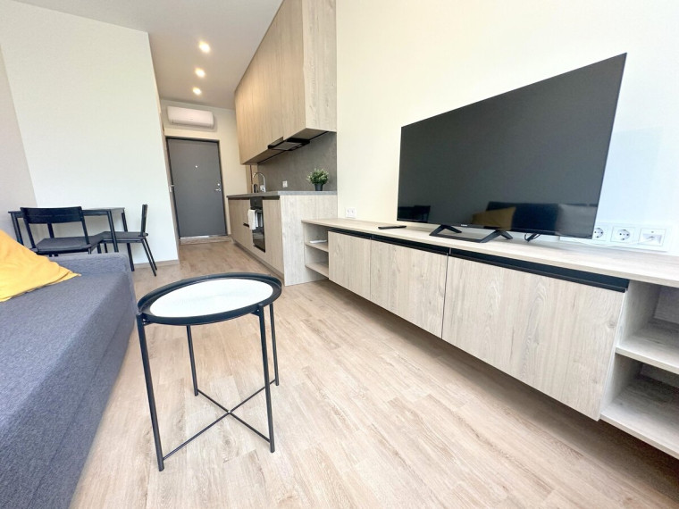 Nuomojamas butas Kalvarijų g., Žirmūnai, Vilniaus m., Vilniaus m. sav., 25 m2 ploto, 1 kambariai 2