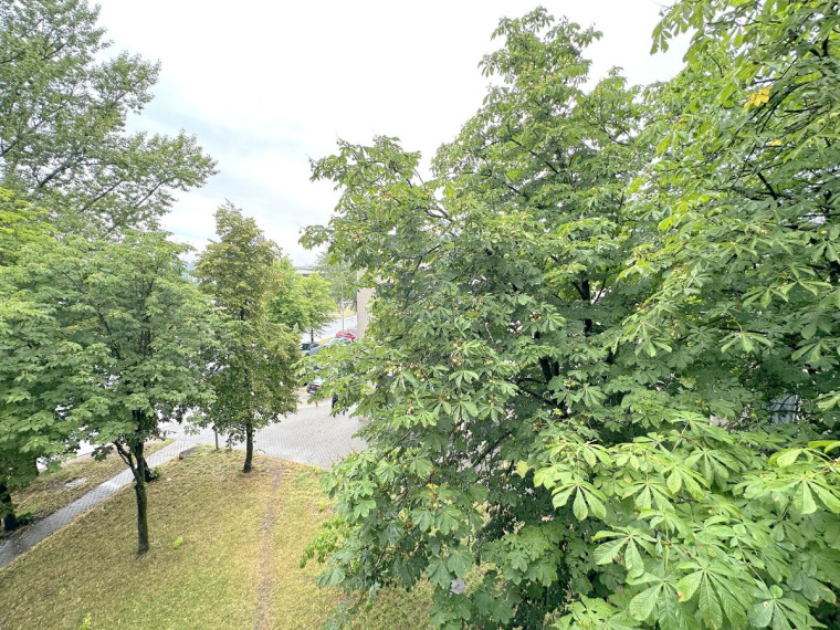 Nuomojamas butas Kalvarijų g., Žirmūnai, Vilniaus m., Vilniaus m. sav., 25 m2 ploto, 1 kambariai 5