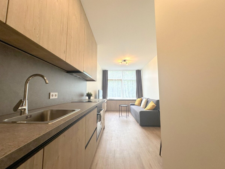 Nuomojamas butas Kalvarijų g., Žirmūnai, Vilniaus m., Vilniaus m. sav., 25 m2 ploto, 1 kambariai 9