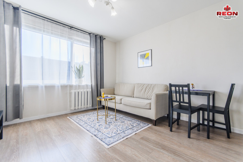 Nuomojamas butas Švitrigailos g., Naujamiestis, Vilniaus m., Vilniaus m. sav., 30 m2 ploto, 2 kambariai 13