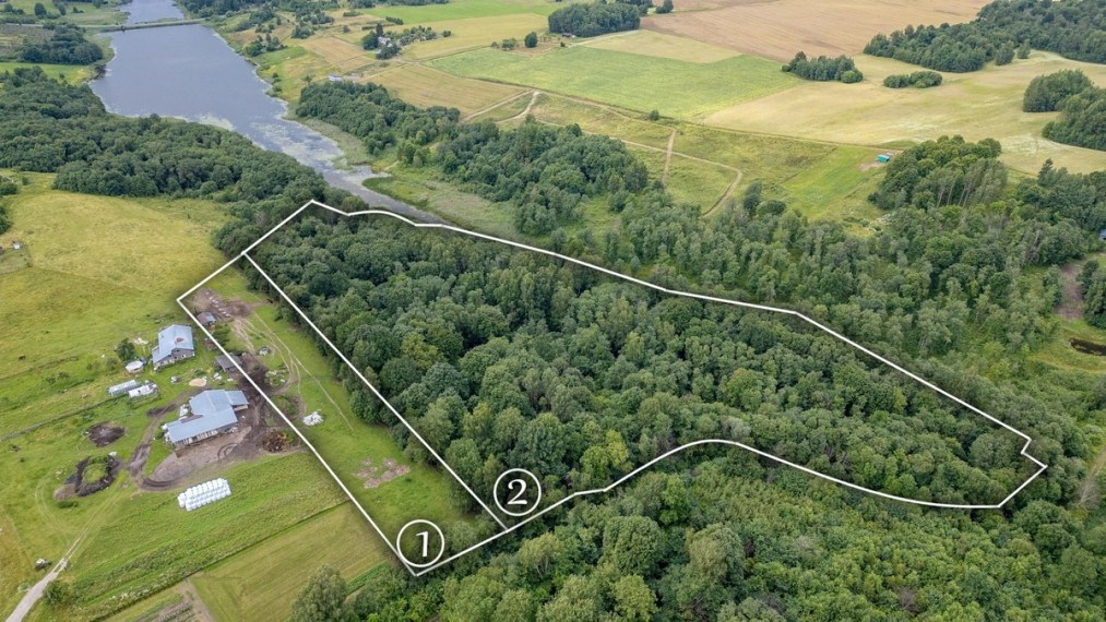 Parduodamas  sklypas Granito g., Levaniškių k., Širvintų r. sav., 487.49 a ploto 1