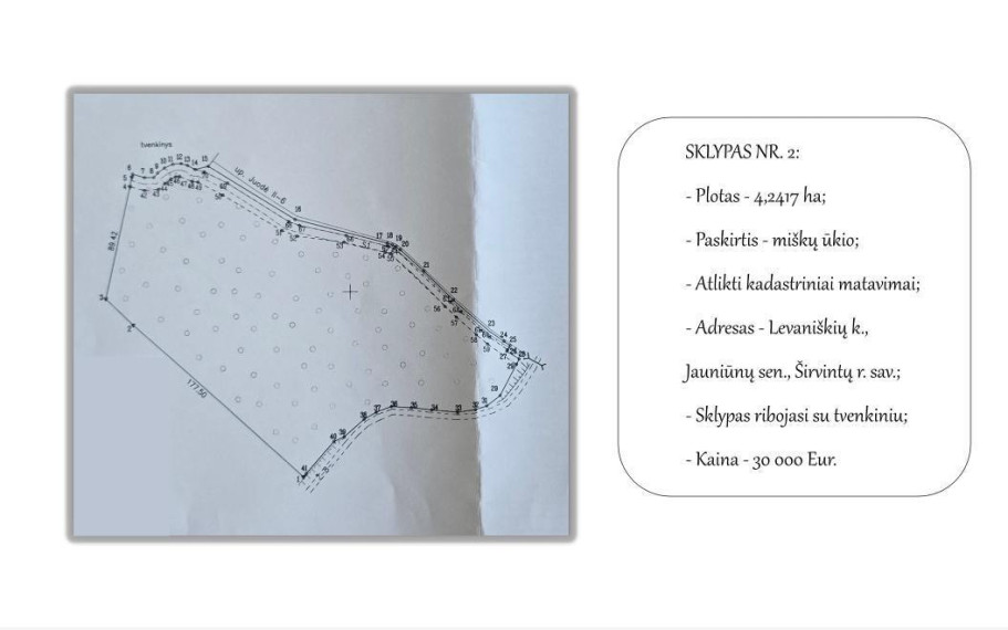 Parduodamas  sklypas Granito g., Levaniškių k., Širvintų r. sav., 487.49 a ploto 6