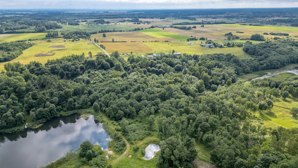 Parduodamas  sklypas Granito g., Levaniškių k., Širvintų r. sav., 487.49 a ploto 8