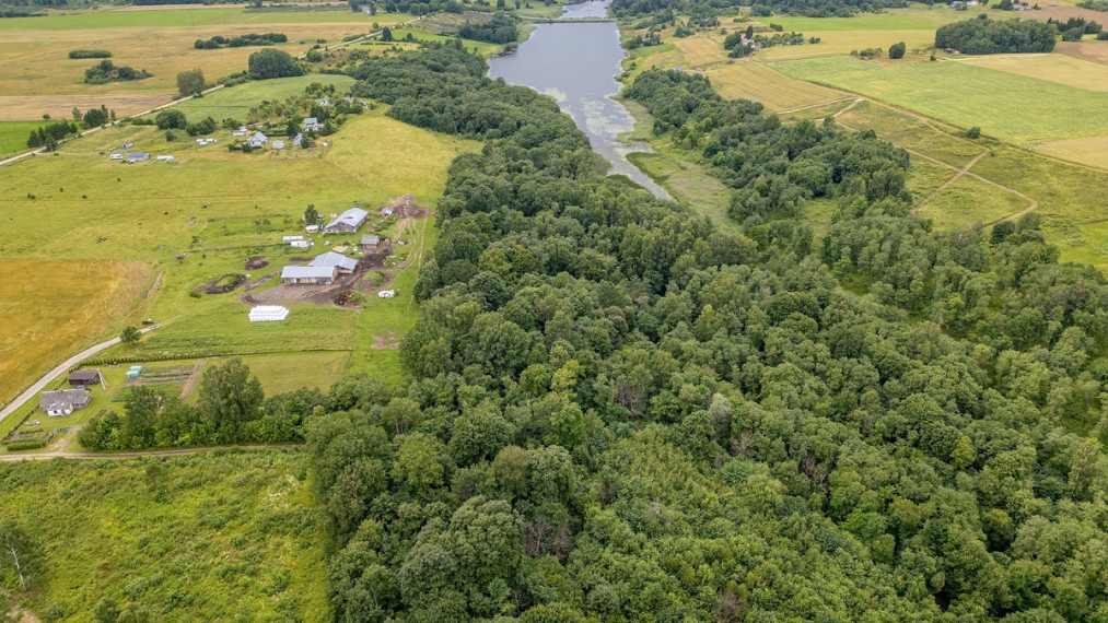 Parduodamas  sklypas Granito g., Levaniškių k., Širvintų r. sav., 487.49 a ploto 11