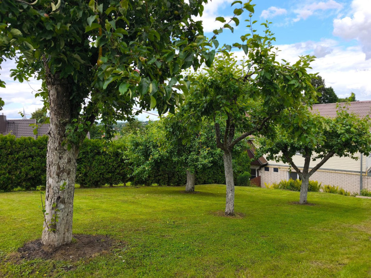 Parduodamas namas Šaltupio g., Anykščių m., Anykščių r. sav., 147 m² ploto 6 kambariai 14