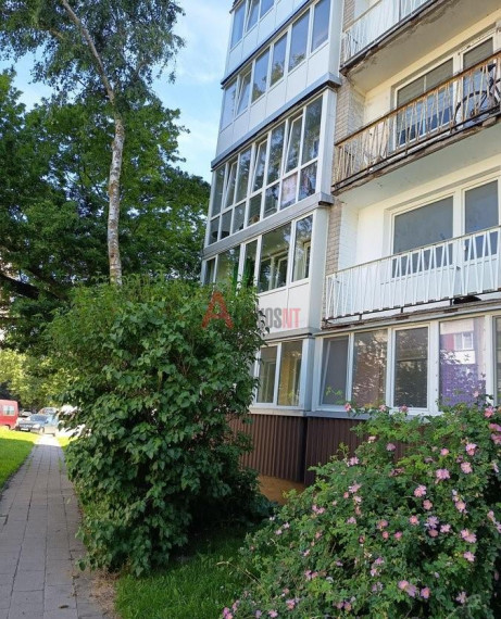Parduodamas butas Šilutės pl., Kauno, Klaipėdos m., Klaipėdos m. sav., 28 m² ploto 1 kambarys 3