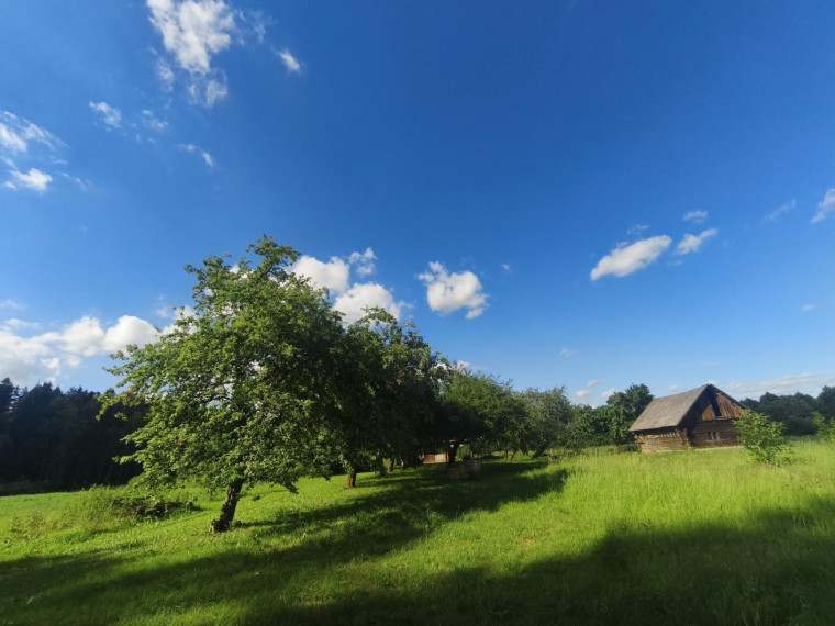 Parduodamas namas Čiukų k., Anykščių r. sav., 57 m² ploto 2 kambariai 5