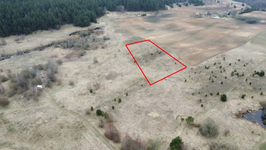 Parduodamas  sklypas Trakų r. sav., Miciūnų k., Miško, 38 a ploto 1