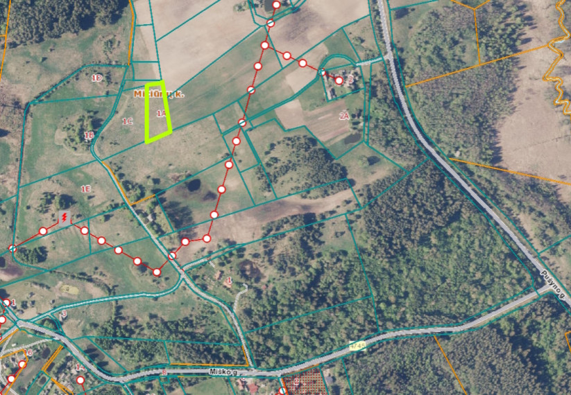 Parduodamas  sklypas Trakų r. sav., Miciūnų k., Miško, 38 a ploto 3