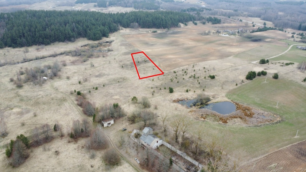 Parduodamas  sklypas Trakų r. sav., Miciūnų k., Miško, 38 a ploto 5