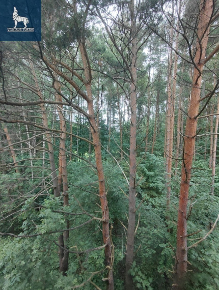 Nuomojamas butas L. Giros g., Fabijoniškės, Vilniaus m., Vilniaus m. sav., 25 m2 ploto, 1 kambariai 2