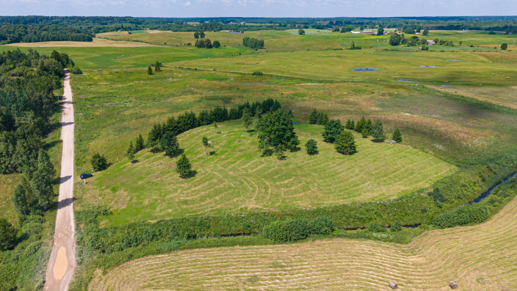 Parduodamas kitos paskirties sklypas Lenktoji g., Pakrovų k., Molėtų r. sav., 11500 a ploto 12
