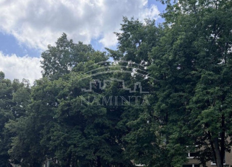 Parduodamas butas Gedminų g., Naujakiemis, Klaipėdos m., Klaipėdos m. sav., 33 m2 ploto, 1 kambariai Parduodamas butas Gedminų g., Naujakiemis, Klaipėdos m., Klaipėdos m. sav., 33 m2 ploto, 1 kambariai