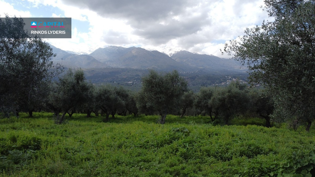 Parduodamas sklypas 3904.00 a ploto 19