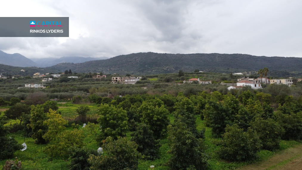 Parduodamas sklypas 5633.00 a ploto 12