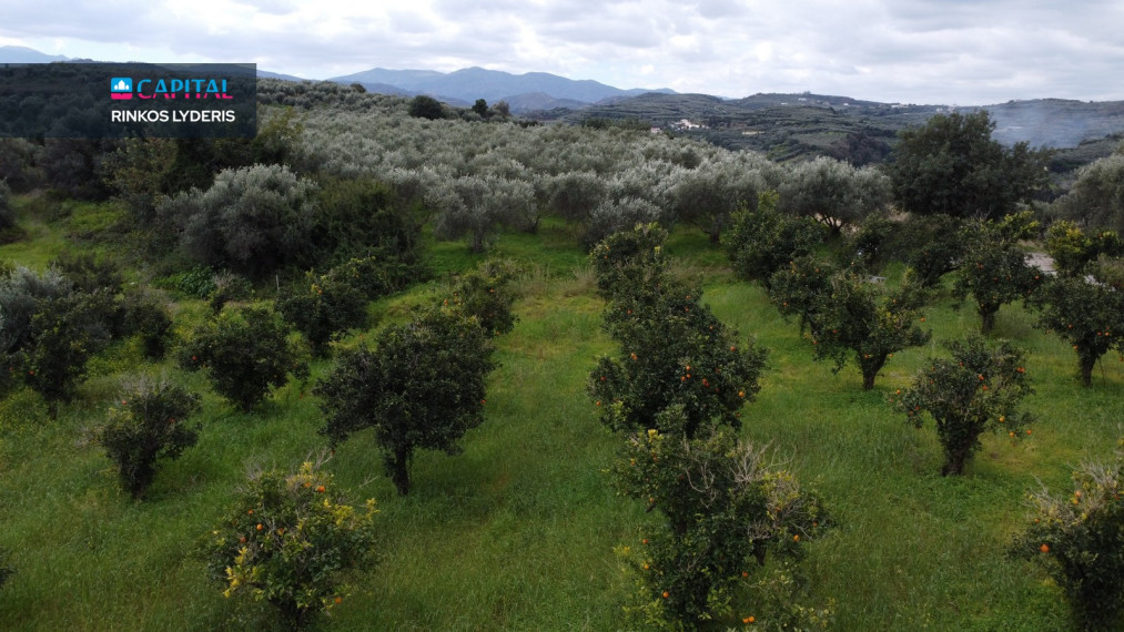 Parduodamas sklypas 1152.00 a ploto 1