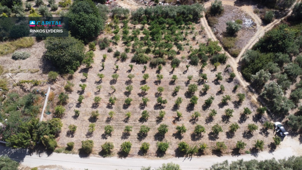 Parduodamas sklypas 2531.00 a ploto 10