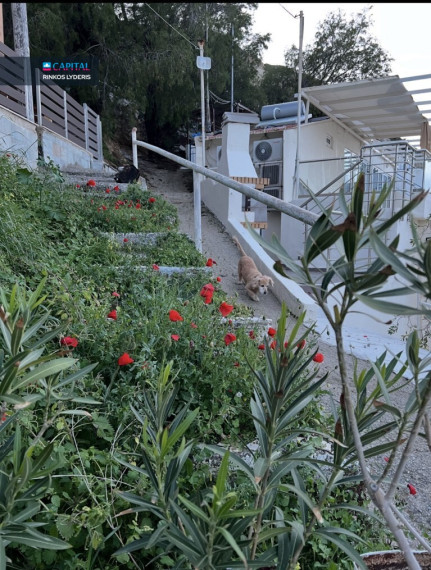 For Sale Detached house 33 m² in Crete 3