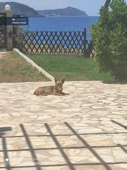 For Sale Detached house 230 m² in Peloponnese 8