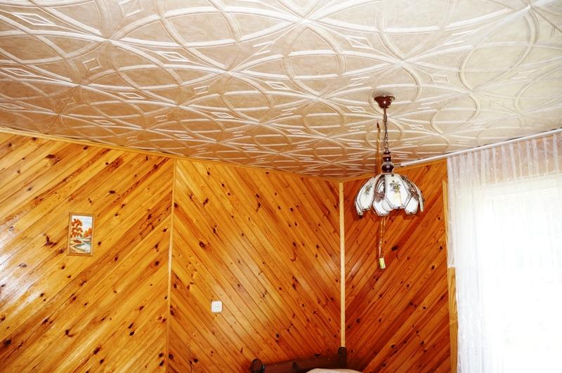 Parduodamas namas Švedriškės k., Ignalinos r. sav., 140 m² ploto 3 kambariai 13