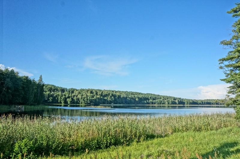 Parduodamas namas Švedriškės k., Ignalinos r. sav., 140 m² ploto 3 kambariai 19