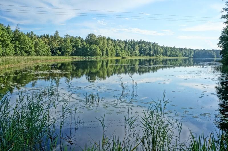 Parduodamas namas Švedriškės k., Ignalinos r. sav., 140 m² ploto 3 kambariai 20