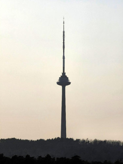 Nuomojamas butas Pušų g., Žvėrynas, Vilniaus m., Vilniaus m. sav., 107 m² ploto 3 kambariai 22