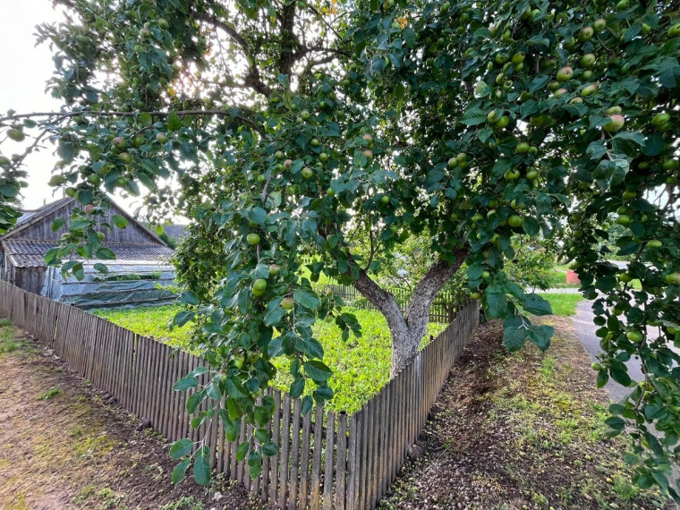 Parduodamas namas Liepos 6-osios g., Mantviliškio k., Kėdainių r. sav., 100.05 m2 ploto, 1 aukštai 23