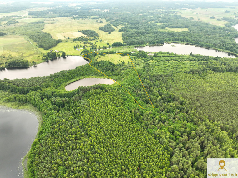 Parduodamas kitos paskirties sklypas Andrulėnų k., Molėtų r. sav., 552.94 a ploto 2