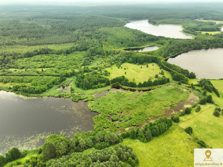 Parduodamas kitos paskirties sklypas Andrulėnų k., Molėtų r. sav., 552.94 a ploto 6