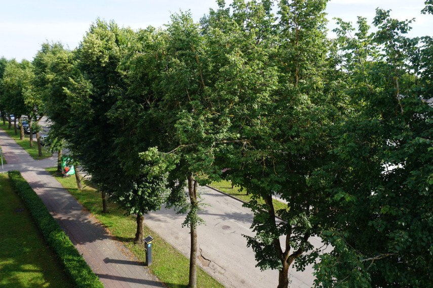 Nuomojamas butas Vytauto g., Šiaulių m., Šiaulių m. sav., 43.46 m2 ploto, 2 kambariai 14
