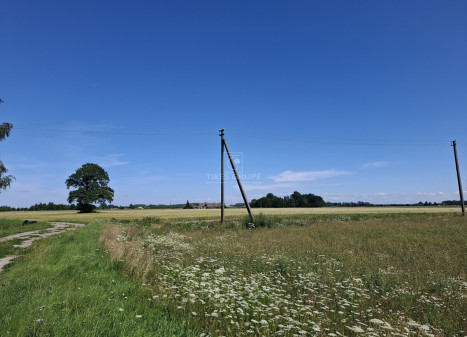 Parduodamas sklypas Žiobrių k., Klaipėdos r. sav., 350 a ploto Parduodamas sklypas Žiobrių k., Klaipėdos r. sav., 350 a ploto