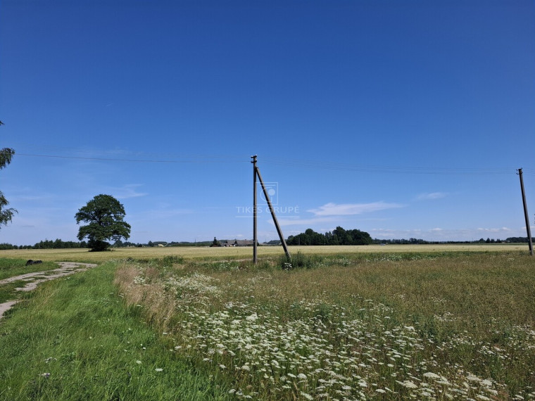 Parduodamas  sklypas Žiobrių k., Klaipėdos r. sav., 350 a ploto 1
