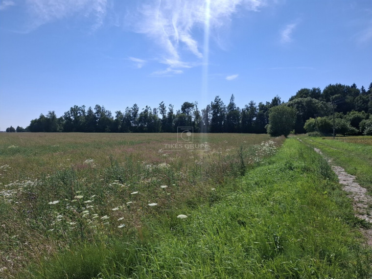 Parduodamas  sklypas Žiobrių k., Klaipėdos r. sav., 350 a ploto 2