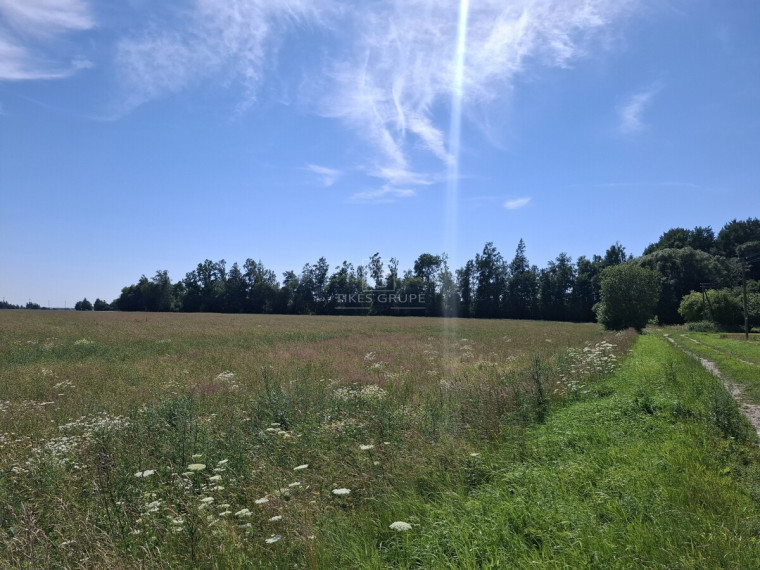 Parduodamas  sklypas Žiobrių k., Klaipėdos r. sav., 350 a ploto 3