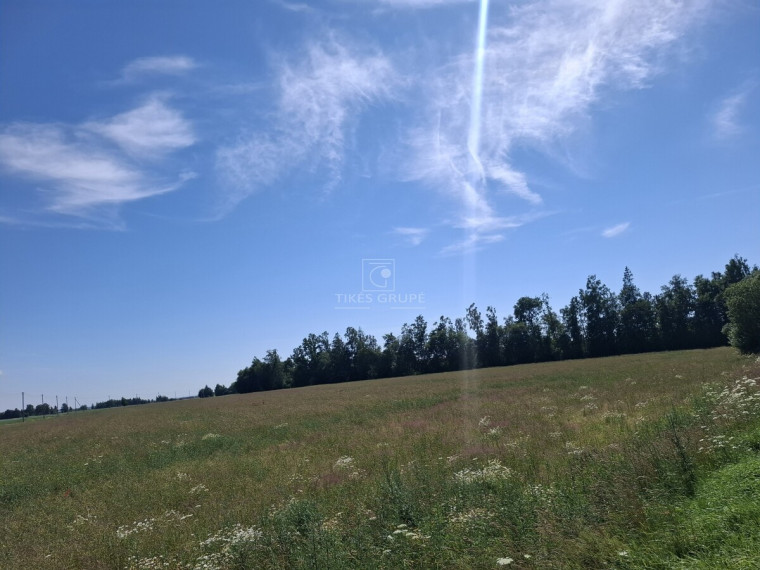 Parduodamas  sklypas Žiobrių k., Klaipėdos r. sav., 350 a ploto 4