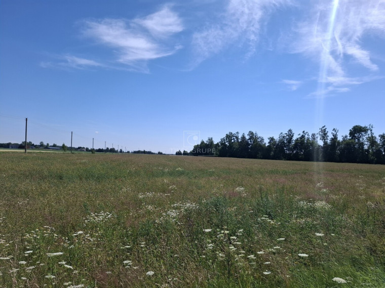 Parduodamas  sklypas Žiobrių k., Klaipėdos r. sav., 350 a ploto 5