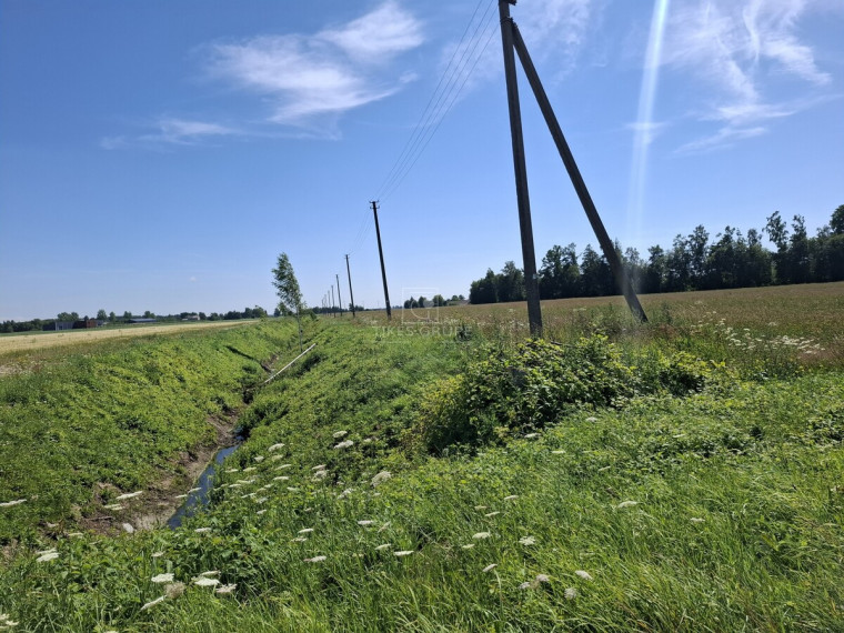 Parduodamas  sklypas Žiobrių k., Klaipėdos r. sav., 350 a ploto 6